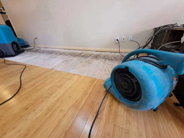 Professional Flood Damage Cleanup technician working in Gainesboro, TN